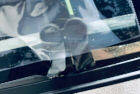 Предно стъкло FORD MUSTANG MACH-E 2021- АКУСТИКА+КАМЕРА + СЕНЗОР+ОТОПЛЕНИЕ+OE-4 на ниска цена