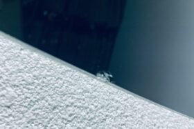 Предно стъкло MITSUBISHI OUTLANDER II 2007-2012 СЕНЗОР-4 на ниска цена