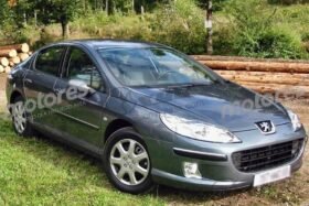 ПРЕДНО СТЪКЛО PEUGEOT 407 СЕНЗОР ПИКТОГРАФИЯ ТРАПЕЗ-3 на ниска цена
